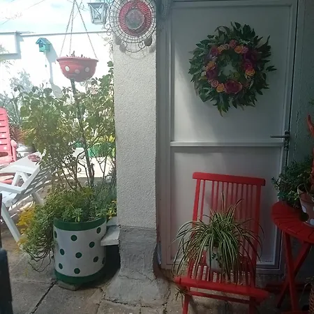 Yellow Lily Apartamento