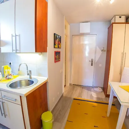 Yellow Lily Mostar