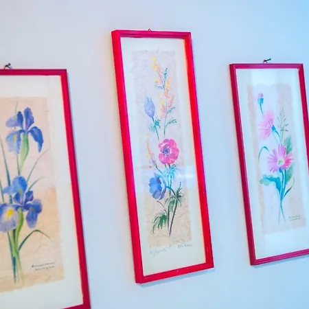 Yellow Lily Apartamento *