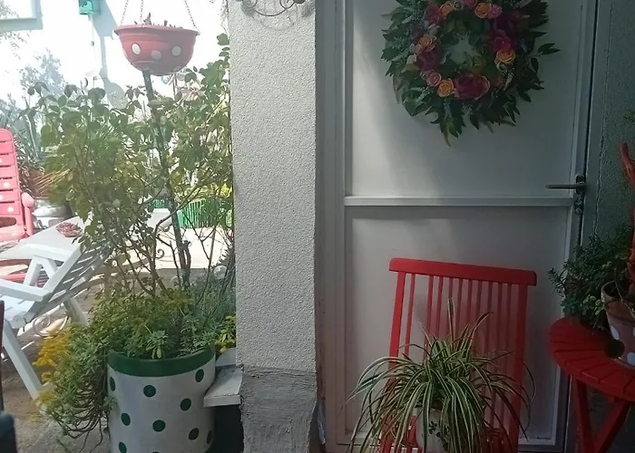 Yellow Lily Apartamento